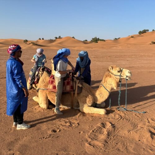 Dromedary Ride