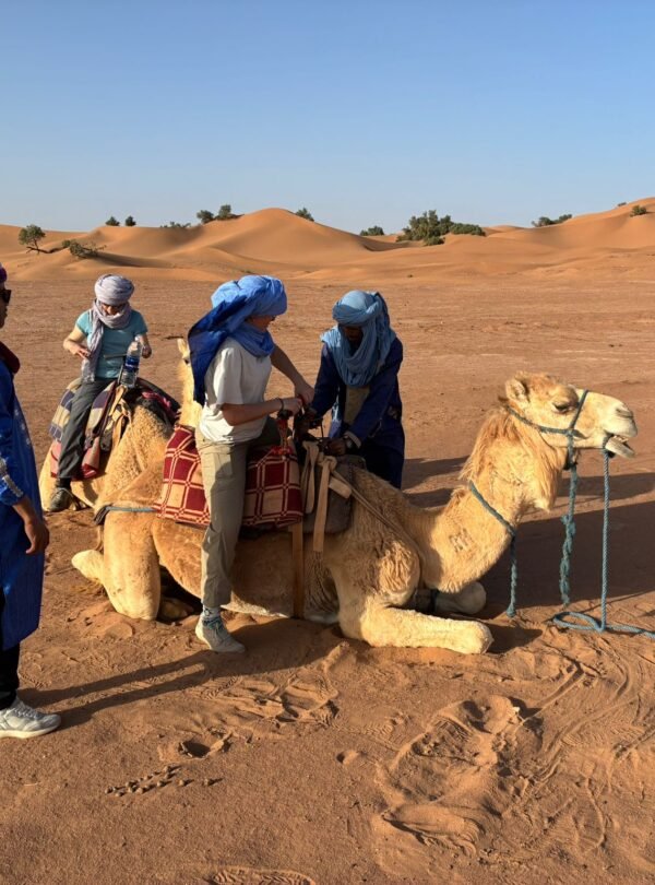 Dromedary Ride
