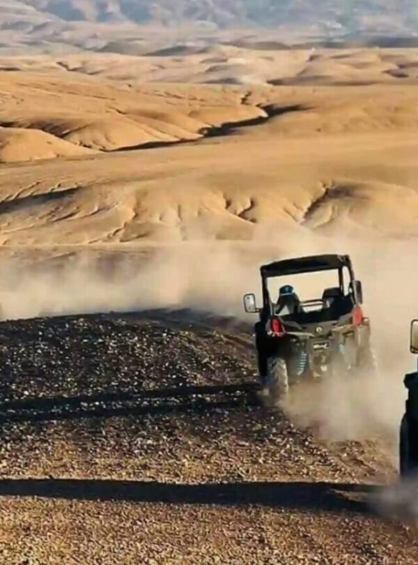 Day trips
